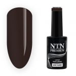208 NTN Premium