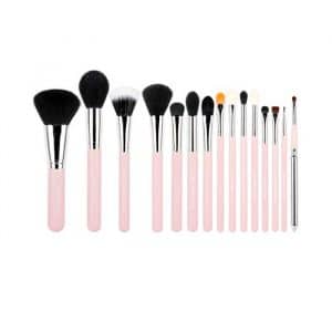 Set de brochas 15 piezas - T094: Pink/Silver